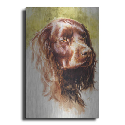 Luxe Metal Art 'Am Water Spaniel' by Barbara Keith, Metal Wall Art