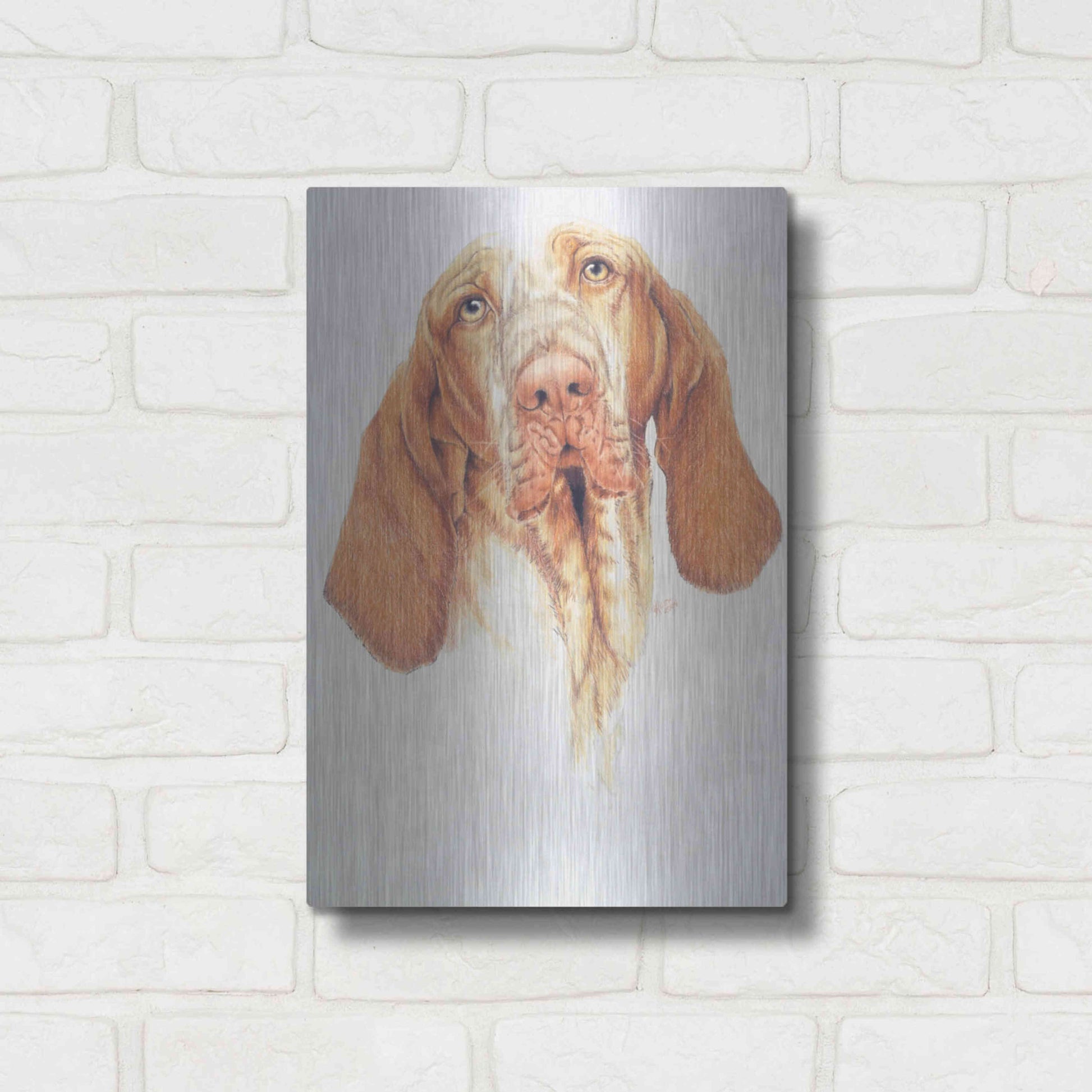 Luxe Metal Art 'Bracco Italiano' by Barbara Keith, Metal Wall Art,12x16