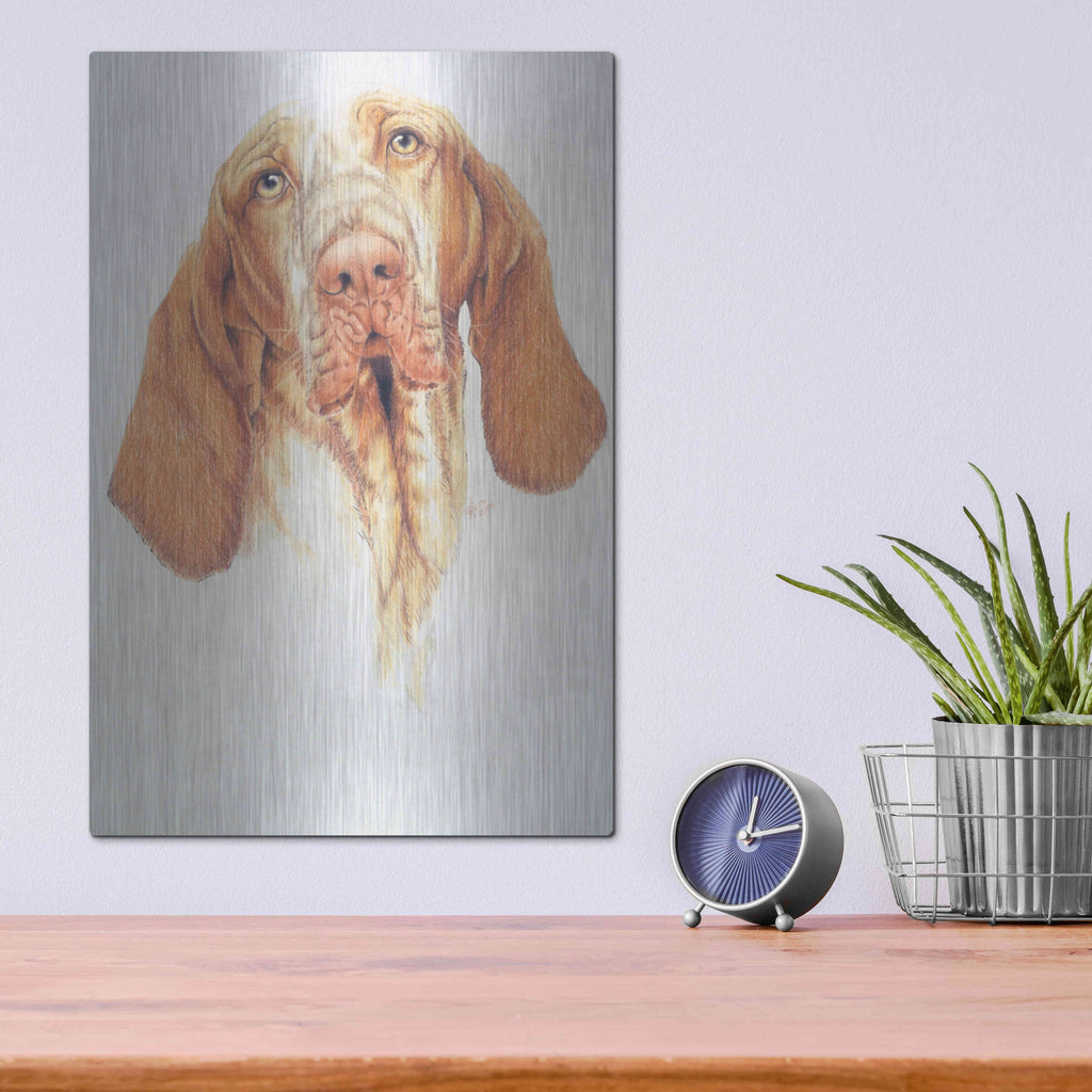 Luxe Metal Art 'Bracco Italiano' by Barbara Keith, Metal Wall Art,12x16