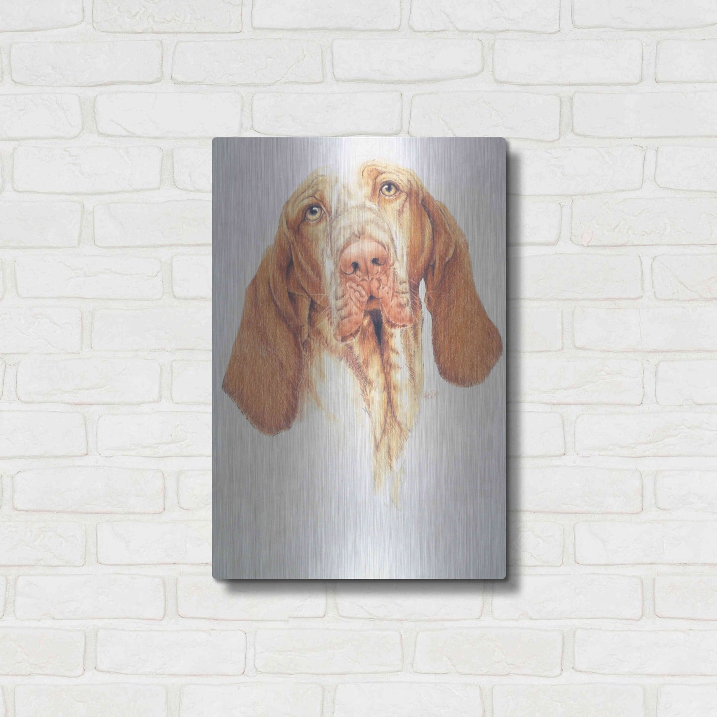 Luxe Metal Art 'Bracco Italiano' by Barbara Keith, Metal Wall Art,16x24