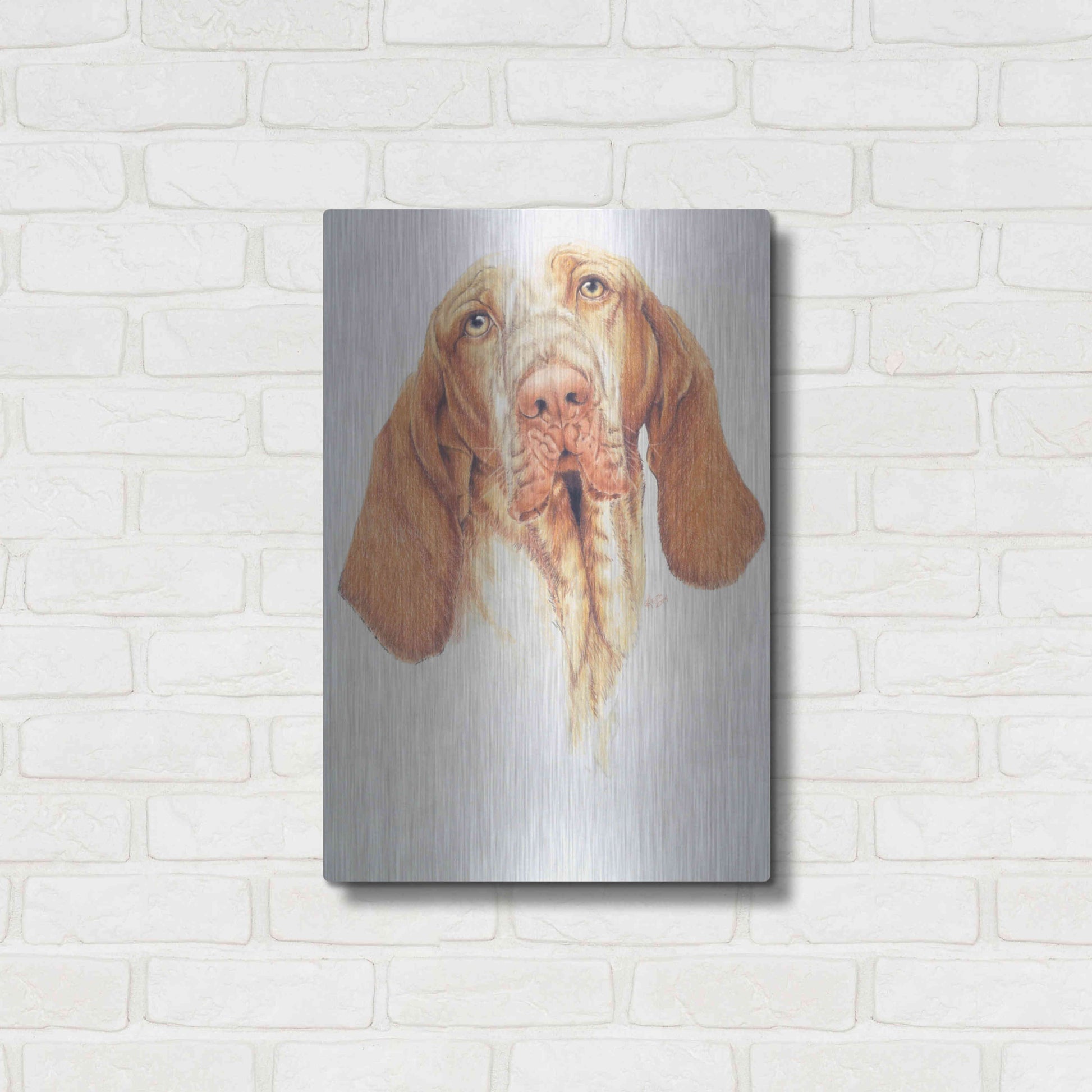 Luxe Metal Art 'Bracco Italiano' by Barbara Keith, Metal Wall Art,16x24