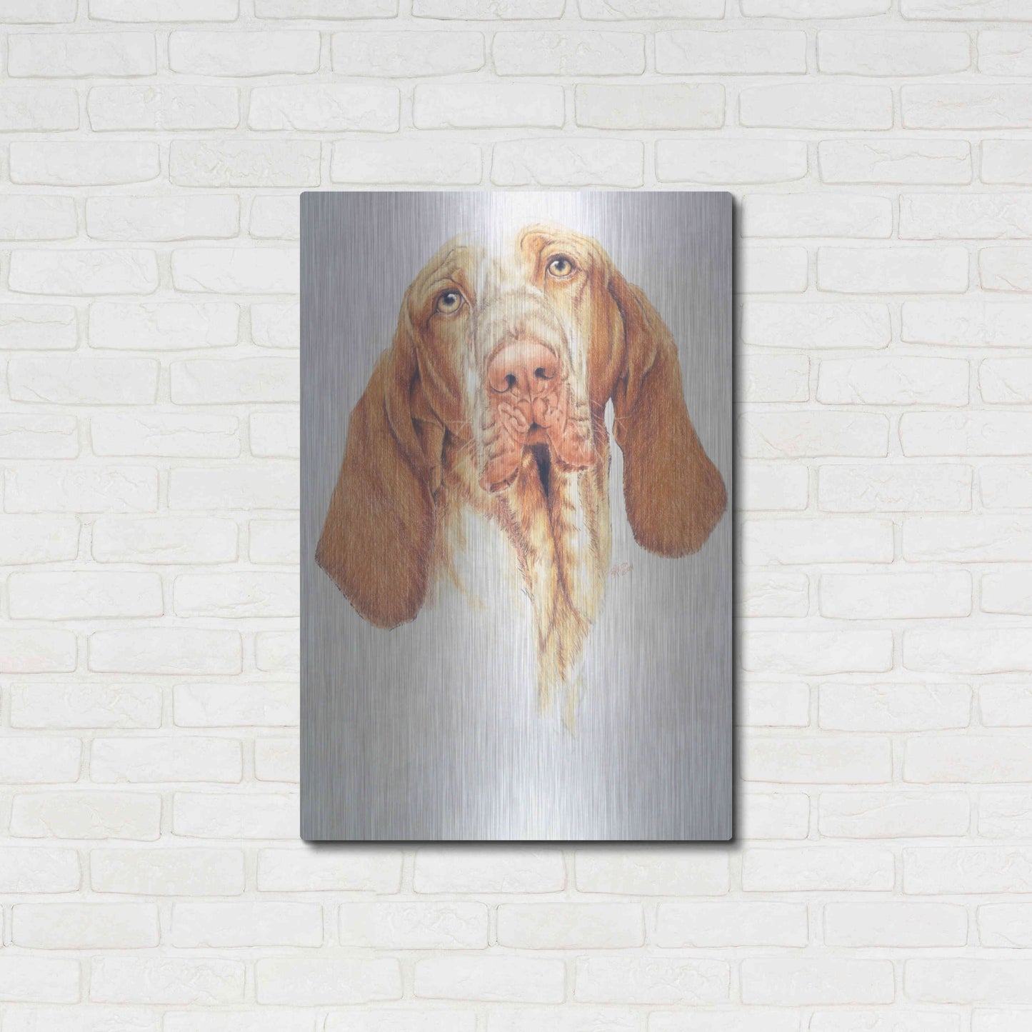 Luxe Metal Art 'Bracco Italiano' by Barbara Keith, Metal Wall Art,24x36