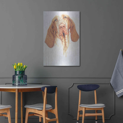 Luxe Metal Art 'Bracco Italiano' by Barbara Keith, Metal Wall Art,24x36