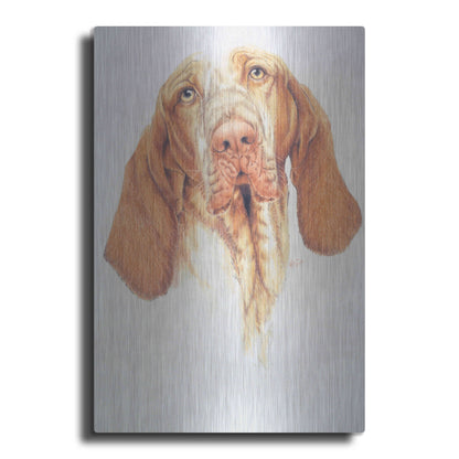 Luxe Metal Art 'Bracco Italiano' by Barbara Keith, Metal Wall Art