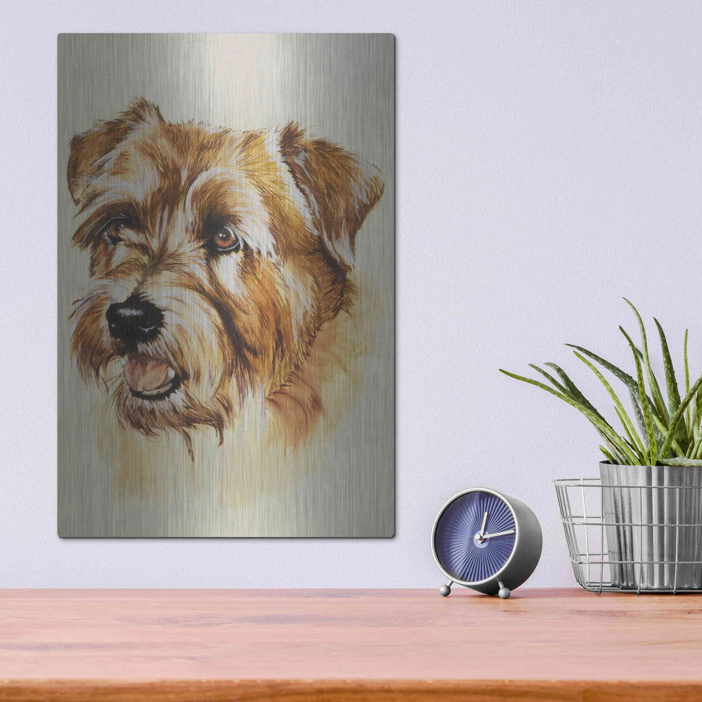 Luxe Metal Art 'Norfolk Terrier' by Barbara Keith, Metal Wall Art,12x16