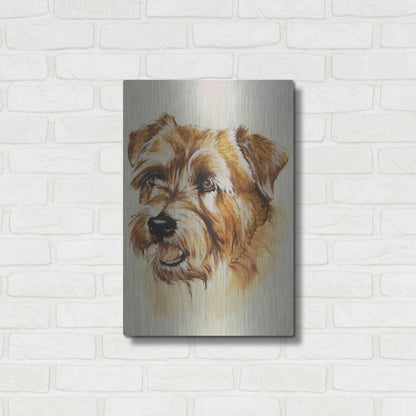 Luxe Metal Art 'Norfolk Terrier' by Barbara Keith, Metal Wall Art,16x24