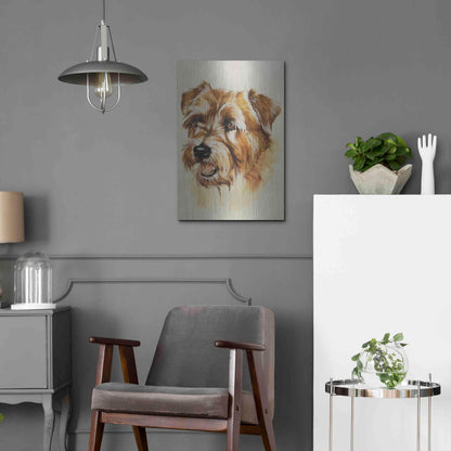 Luxe Metal Art 'Norfolk Terrier' by Barbara Keith, Metal Wall Art,16x24
