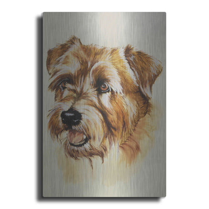 Luxe Metal Art 'Norfolk Terrier' by Barbara Keith, Metal Wall Art