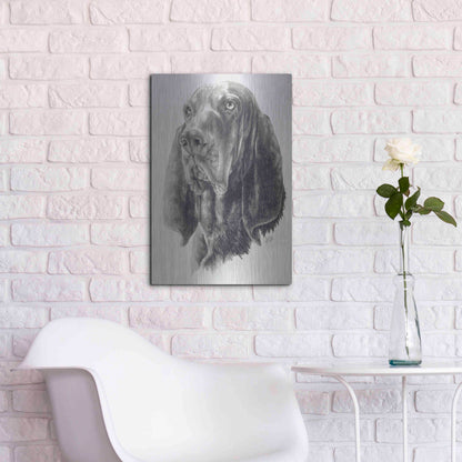 Luxe Metal Art 'Black & Tan Coonhound' by Barbara Keith, Metal Wall Art,16x24