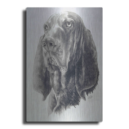Luxe Metal Art 'Black & Tan Coonhound' by Barbara Keith, Metal Wall Art