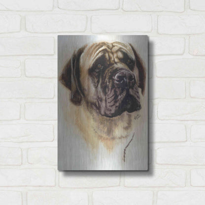 Luxe Metal Art 'Mastiff' by Barbara Keith, Metal Wall Art,12x16