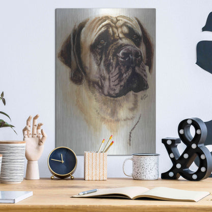 Luxe Metal Art 'Mastiff' by Barbara Keith, Metal Wall Art,12x16