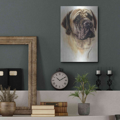 Luxe Metal Art 'Mastiff' by Barbara Keith, Metal Wall Art,12x16