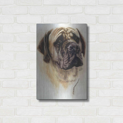 Luxe Metal Art 'Mastiff' by Barbara Keith, Metal Wall Art,16x24