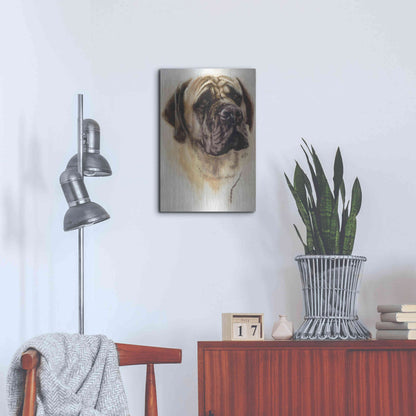 Luxe Metal Art 'Mastiff' by Barbara Keith, Metal Wall Art,16x24