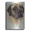 Luxe Metal Art 'Mastiff' by Barbara Keith, Metal Wall Art