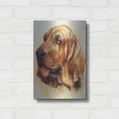 Luxe Metal Art 'Blood Hound' by Barbara Keith, Metal Wall Art,12x16