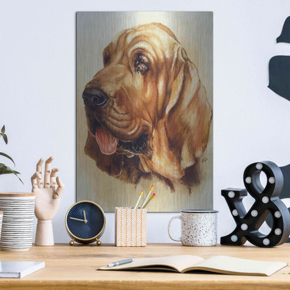 Luxe Metal Art 'Blood Hound' by Barbara Keith, Metal Wall Art,12x16