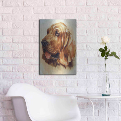 Luxe Metal Art 'Blood Hound' by Barbara Keith, Metal Wall Art,16x24