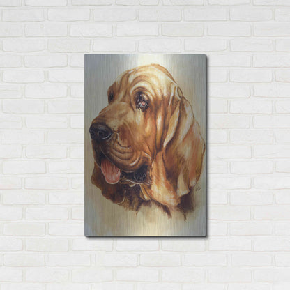 Luxe Metal Art 'Blood Hound' by Barbara Keith, Metal Wall Art,24x36