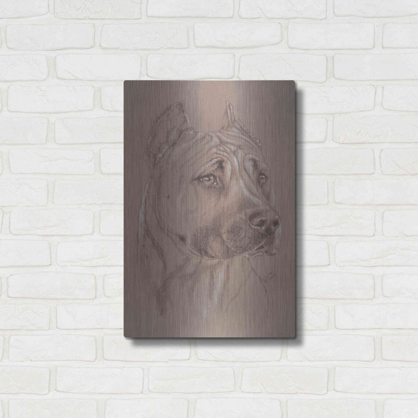 Luxe Metal Art 'Am Staffordshire Terrier' by Barbara Keith, Metal Wall Art,16x24