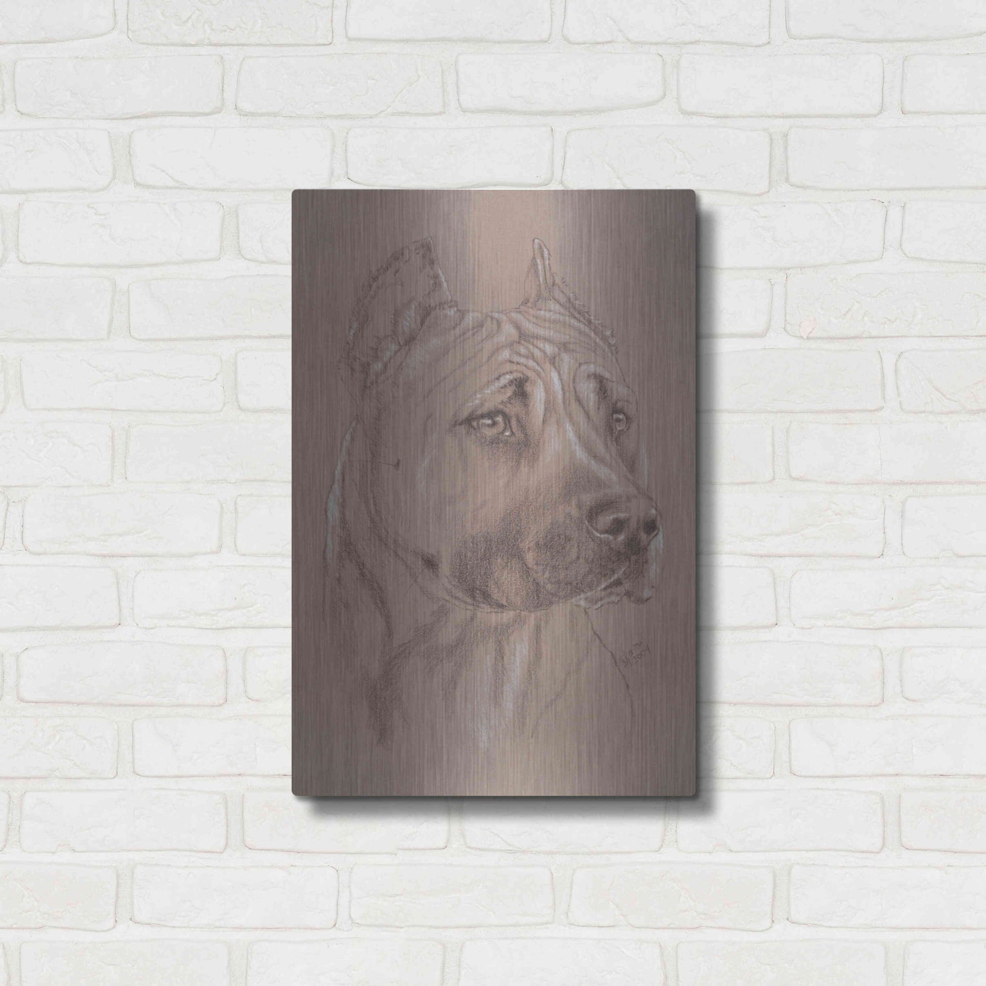 Luxe Metal Art 'Am Staffordshire Terrier' by Barbara Keith, Metal Wall Art,16x24