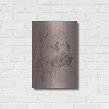 Luxe Metal Art 'Am Staffordshire Terrier' by Barbara Keith, Metal Wall Art,16x24