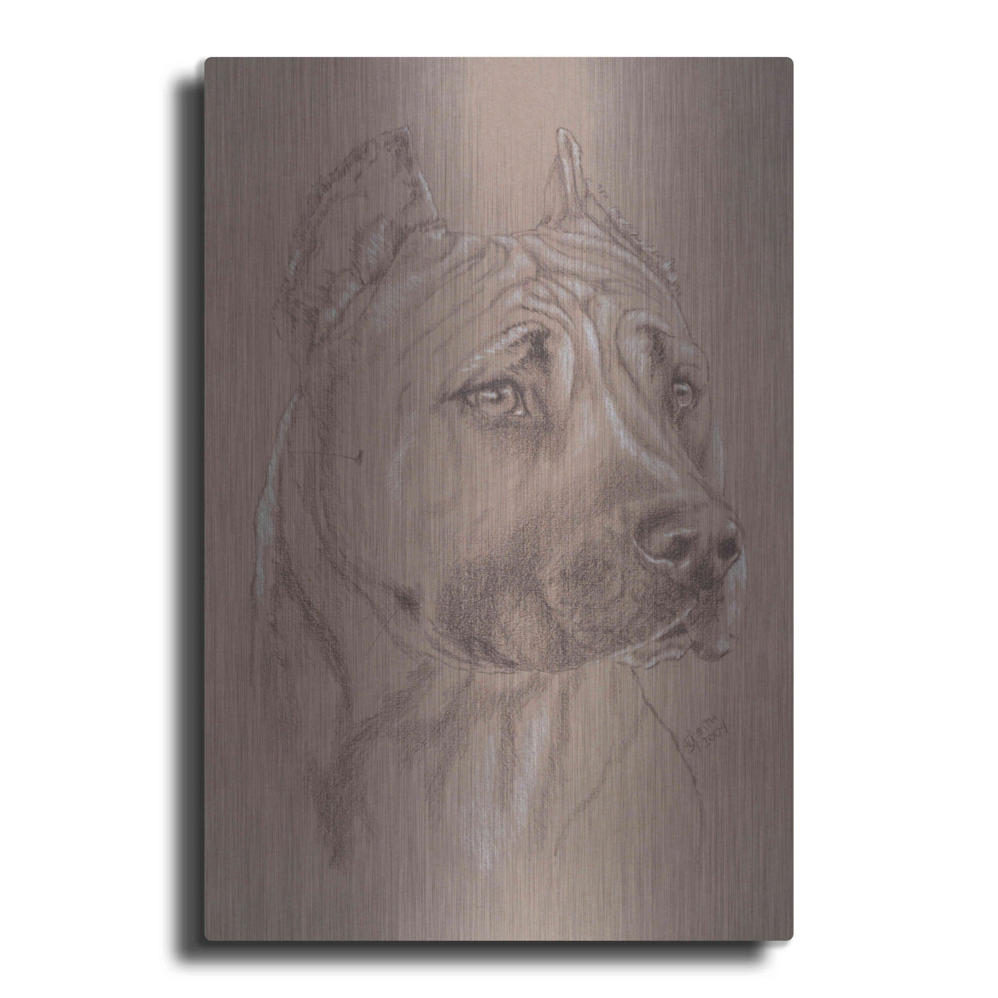 Luxe Metal Art 'Am Staffordshire Terrier' by Barbara Keith, Metal Wall Art