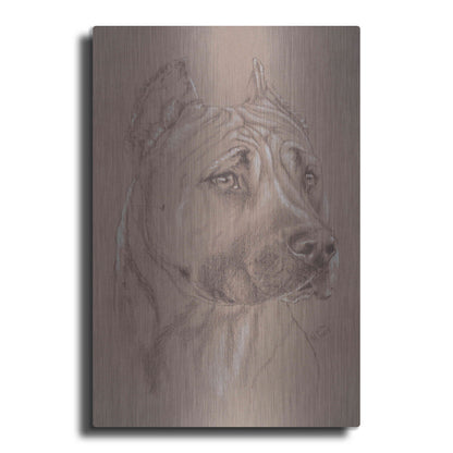 Luxe Metal Art 'Am Staffordshire Terrier' by Barbara Keith, Metal Wall Art