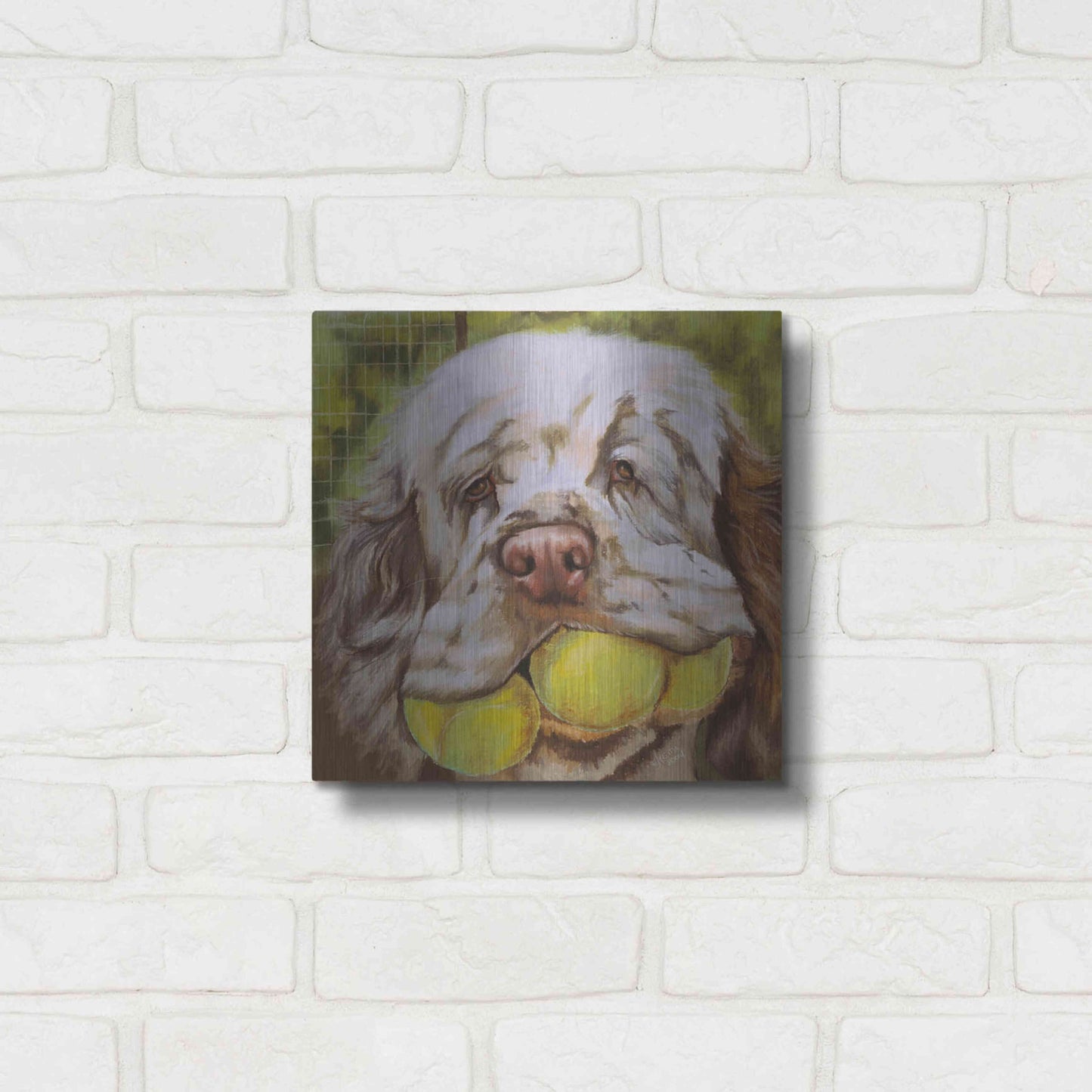 Luxe Metal Art 'Clumber Spaniel 2' by Barbara Keith, Metal Wall Art,12x12