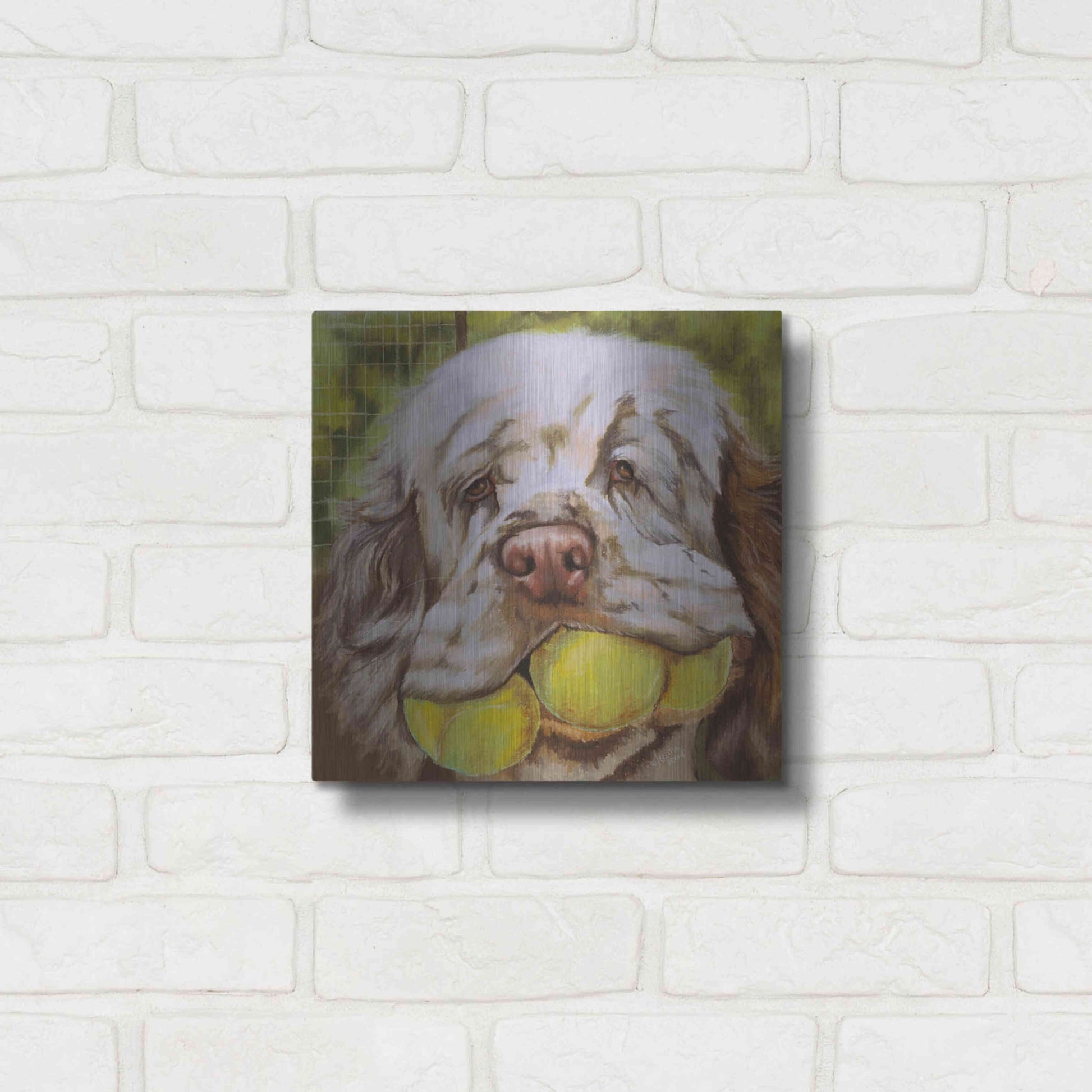 Luxe Metal Art 'Clumber Spaniel 2' by Barbara Keith, Metal Wall Art,12x12