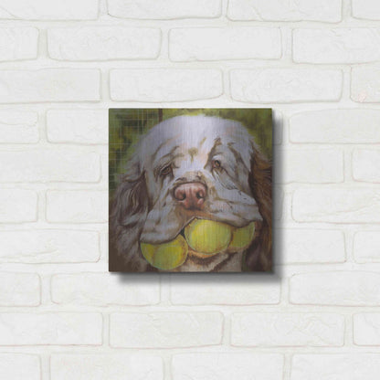 Luxe Metal Art 'Clumber Spaniel 2' by Barbara Keith, Metal Wall Art,12x12