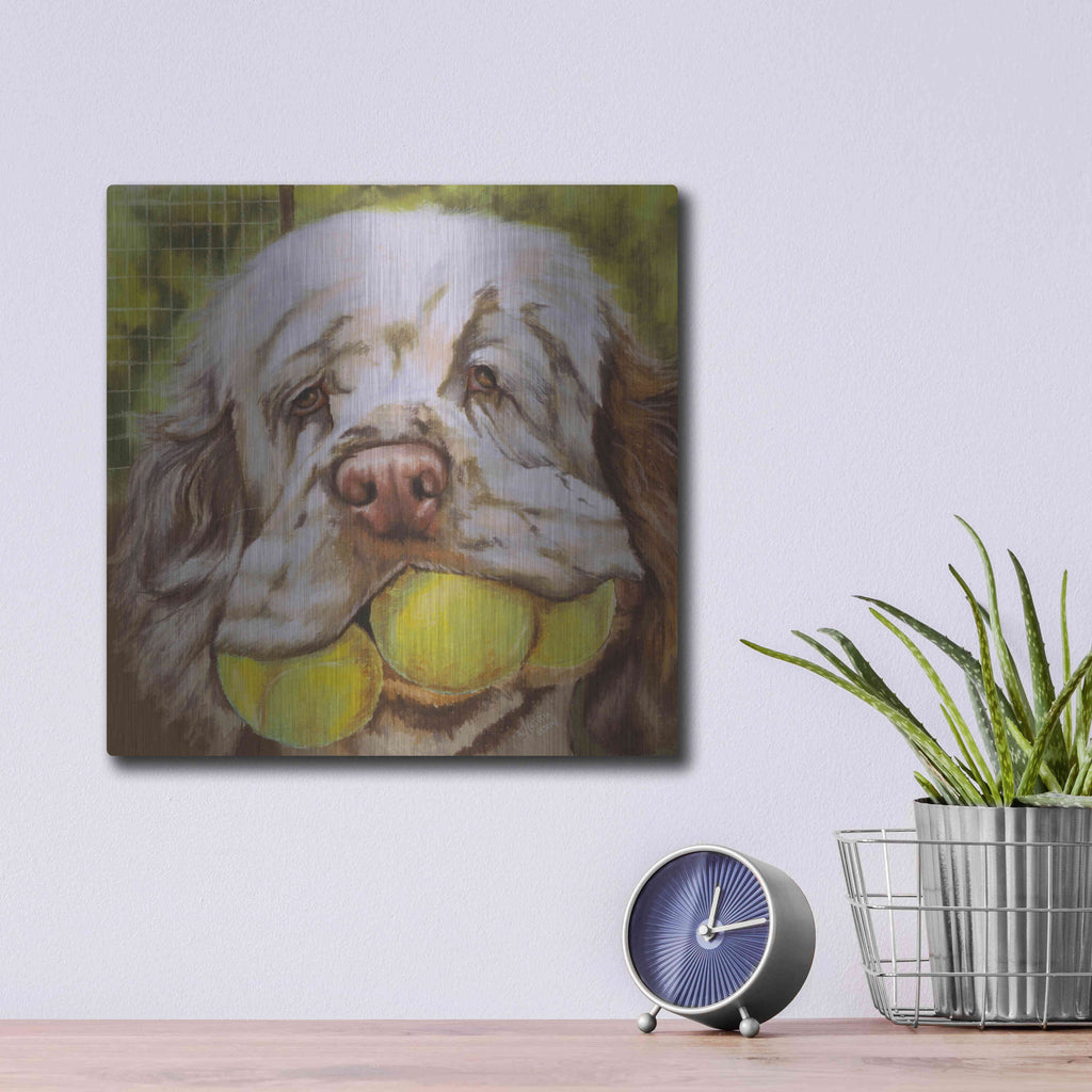 Luxe Metal Art 'Clumber Spaniel 2' by Barbara Keith, Metal Wall Art,12x12