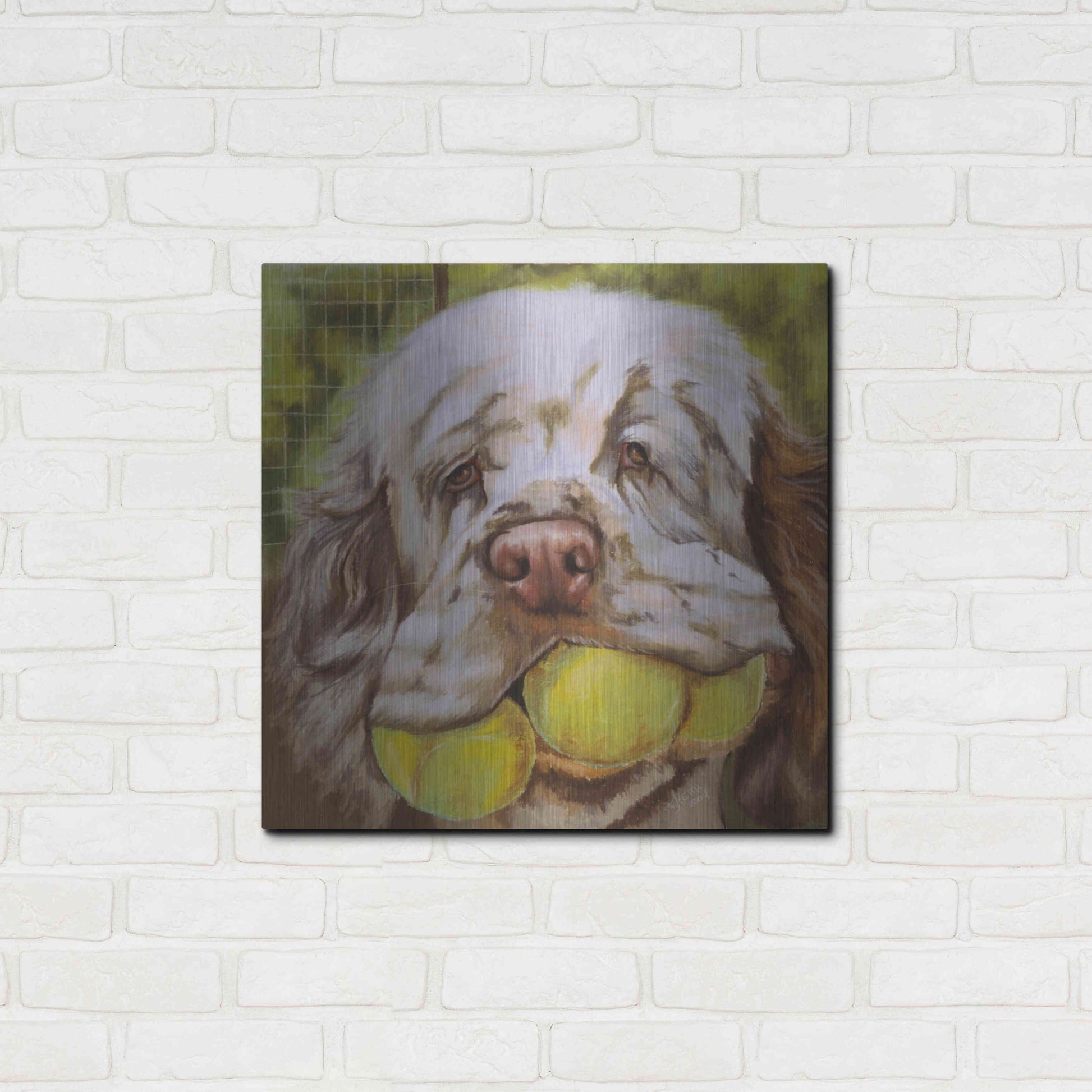 Luxe Metal Art 'Clumber Spaniel 2' by Barbara Keith, Metal Wall Art,24x24