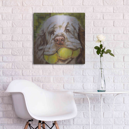 Luxe Metal Art 'Clumber Spaniel 2' by Barbara Keith, Metal Wall Art,24x24