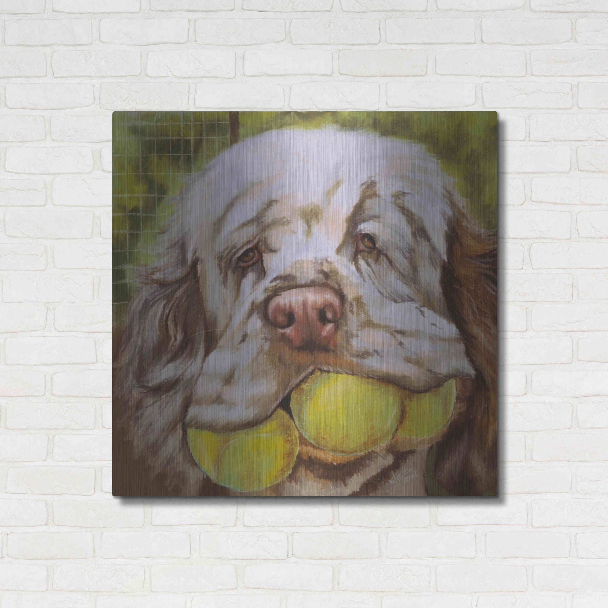 Luxe Metal Art 'Clumber Spaniel 2' by Barbara Keith, Metal Wall Art,36x36