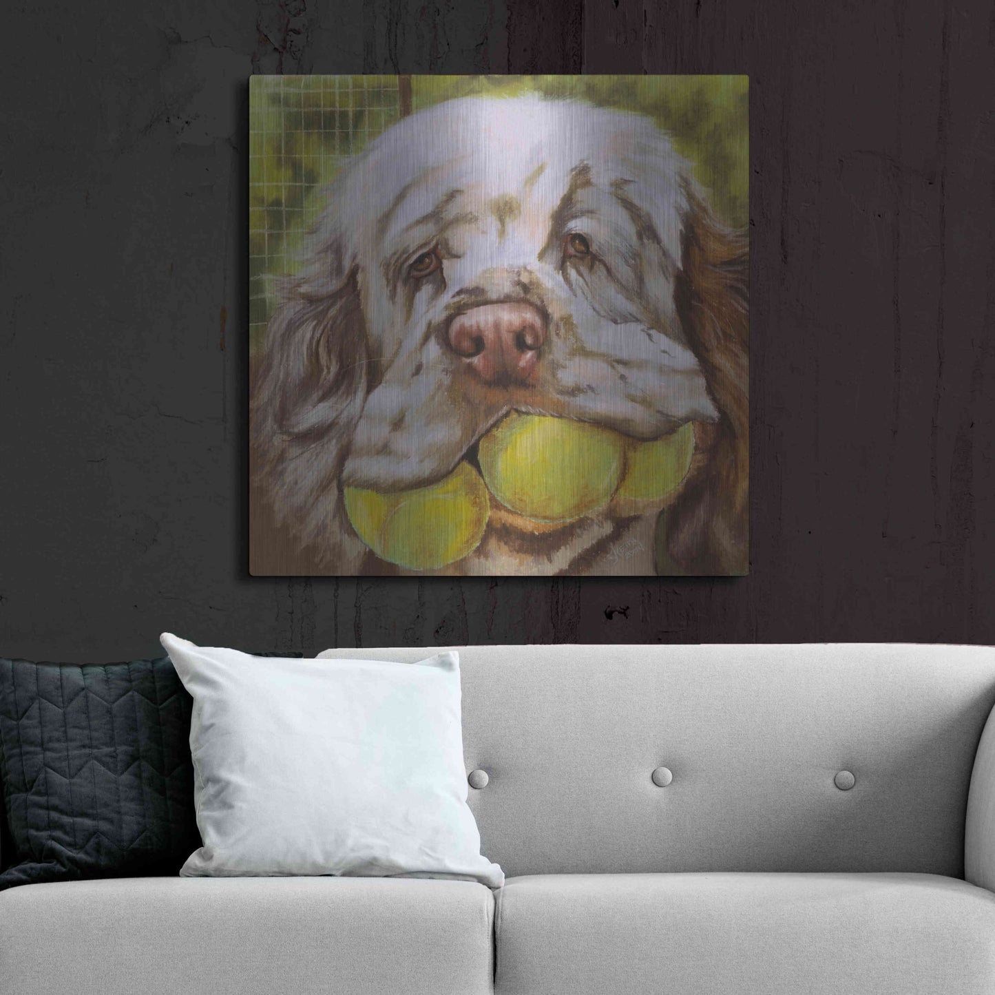 Luxe Metal Art 'Clumber Spaniel 2' by Barbara Keith, Metal Wall Art,36x36