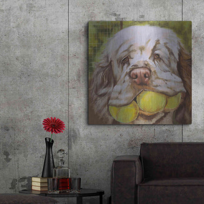 Luxe Metal Art 'Clumber Spaniel 2' by Barbara Keith, Metal Wall Art,36x36