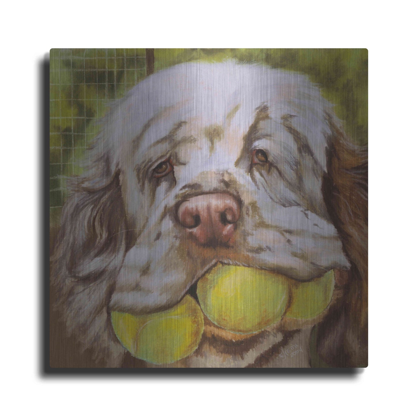 Luxe Metal Art 'Clumber Spaniel 2' by Barbara Keith, Metal Wall Art