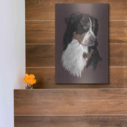 Luxe Metal Art 'Bernese Mt. Dog' by Barbara Keith, Metal Wall Art,12x16