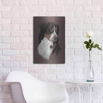 Luxe Metal Art 'Bernese Mt. Dog' by Barbara Keith, Metal Wall Art,16x24