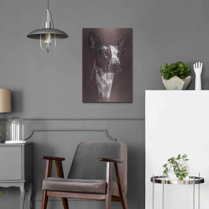 Luxe Metal Art 'Ibizan Hound' by Barbara Keith, Metal Wall Art,16x24