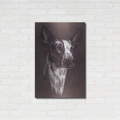 Luxe Metal Art 'Ibizan Hound' by Barbara Keith, Metal Wall Art,24x36