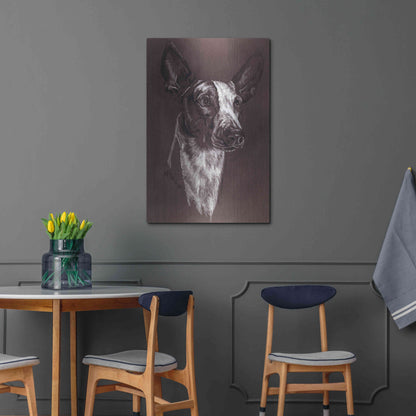 Luxe Metal Art 'Ibizan Hound' by Barbara Keith, Metal Wall Art,24x36