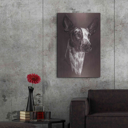 Luxe Metal Art 'Ibizan Hound' by Barbara Keith, Metal Wall Art,24x36