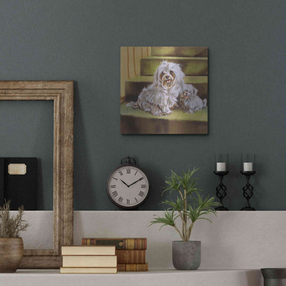 Luxe Metal Art 'Maltese' by Barbara Keith, Metal Wall Art,12x12