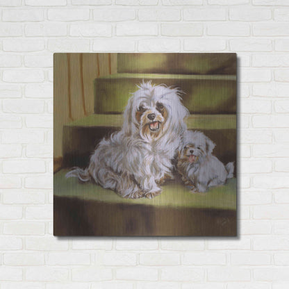 Luxe Metal Art 'Maltese' by Barbara Keith, Metal Wall Art,36x36