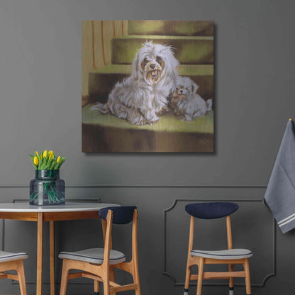 Luxe Metal Art 'Maltese' by Barbara Keith, Metal Wall Art,36x36