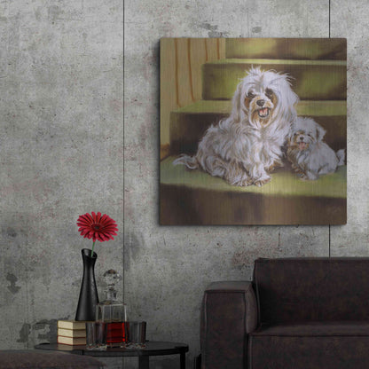 Luxe Metal Art 'Maltese' by Barbara Keith, Metal Wall Art,36x36