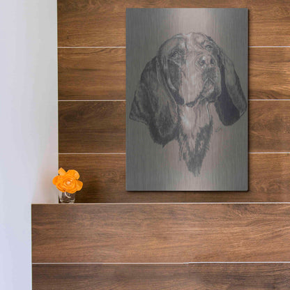 Luxe Metal Art 'Blue Tick Hound' by Barbara Keith, Metal Wall Art,12x16